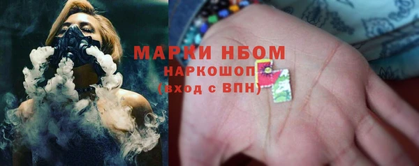 крисы Новодвинск