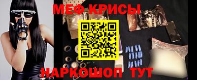 стафф Гай
