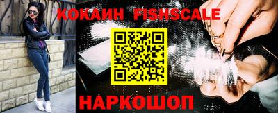 стафф Гай
