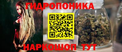 стафф Гай