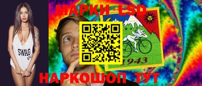 стафф Гай