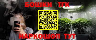 стафф Гай
