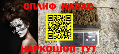 стафф Гай