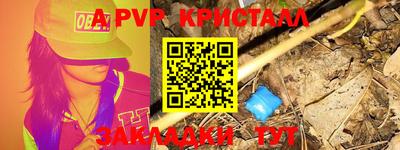 стафф Гай