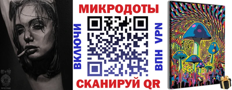 дарнет шоп  Брянск  Псилоцибиновые грибы Psilocybine cubensis 