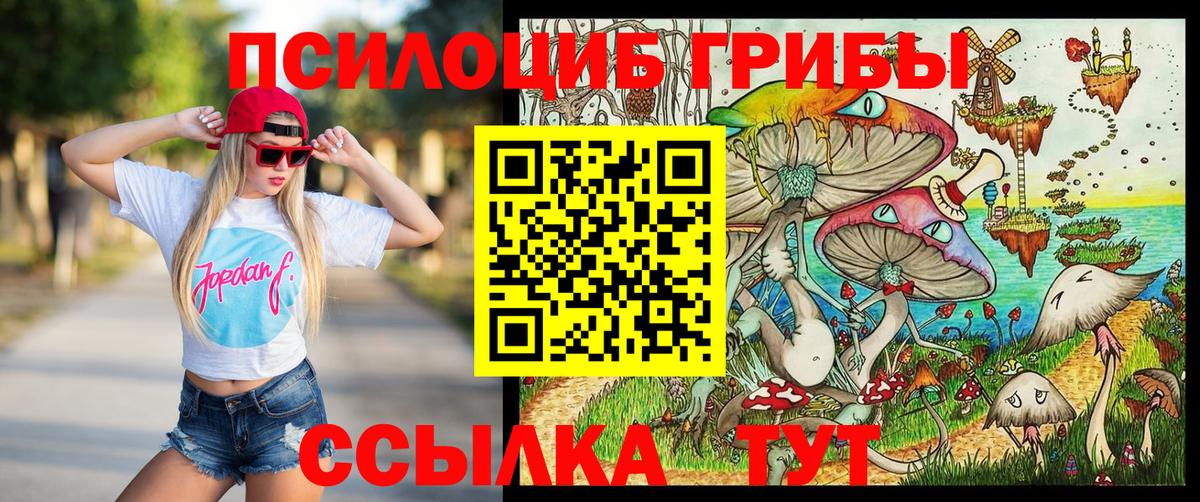 Псилоцибиновые грибы прущие грибы Брянск